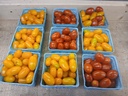 Grape Tomatoes 