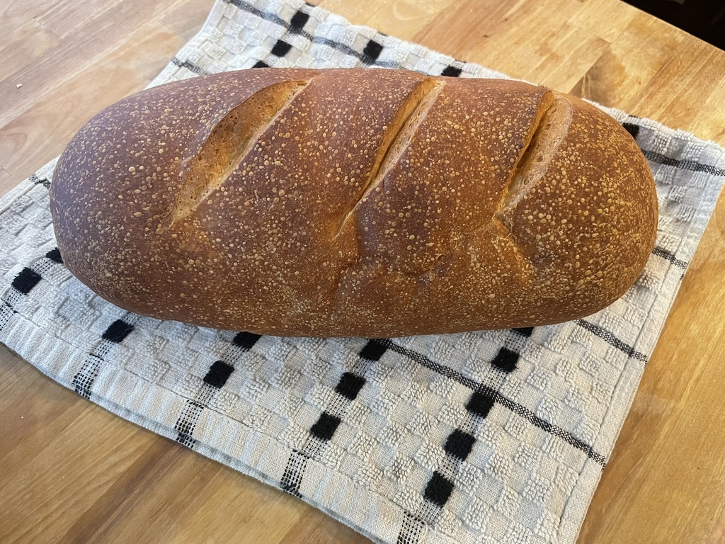 Whole Wheat Bread