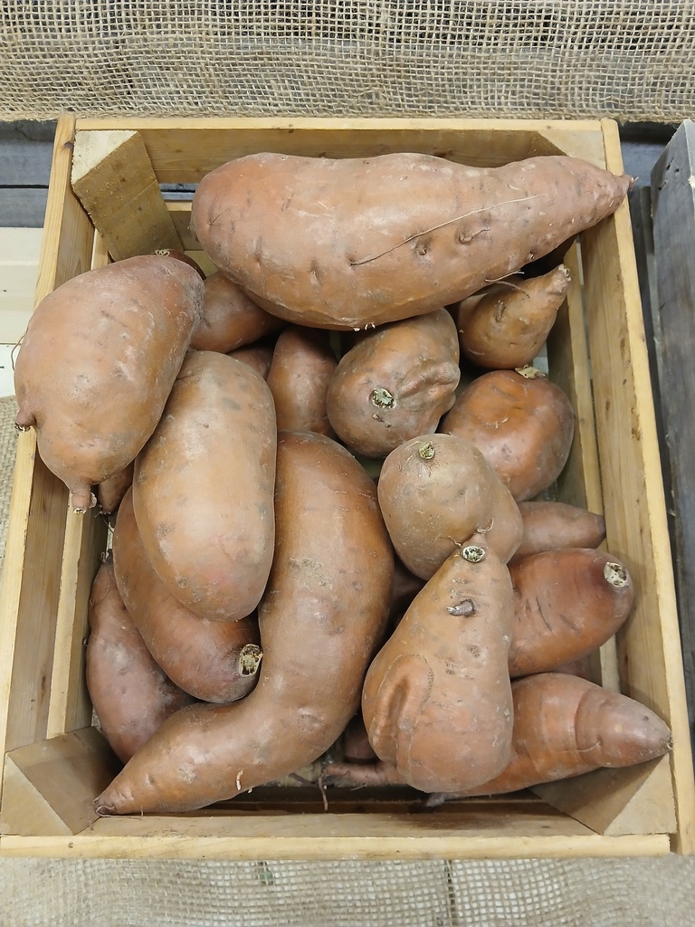 Sweet Potatoes (lb) BOGO