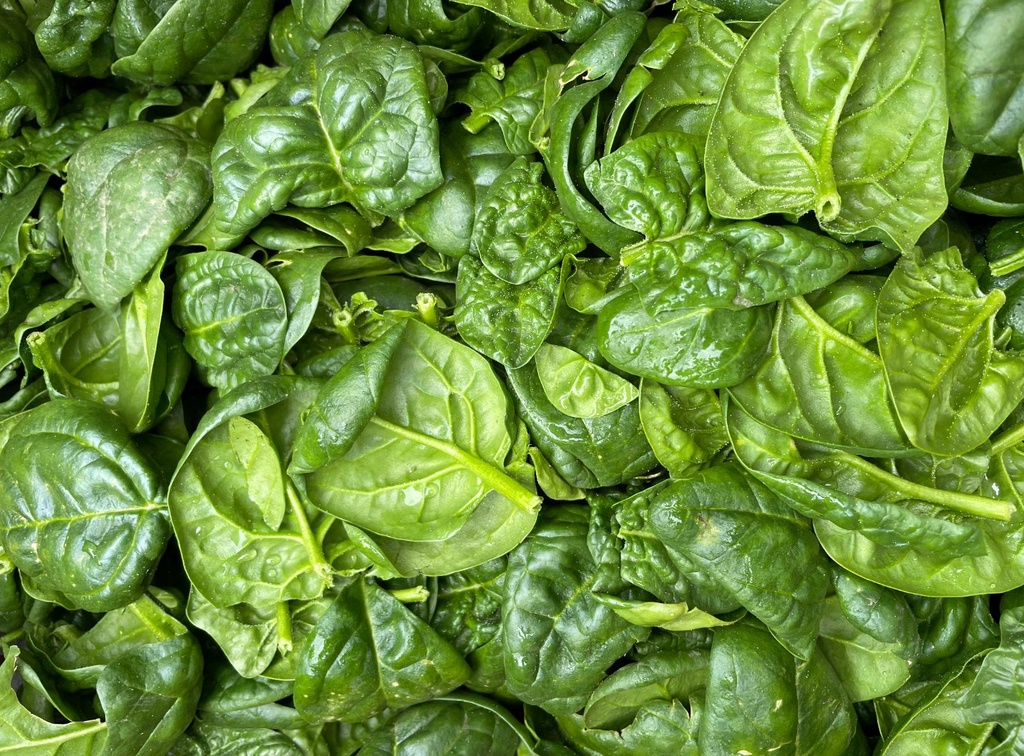 Spinach BOGO
