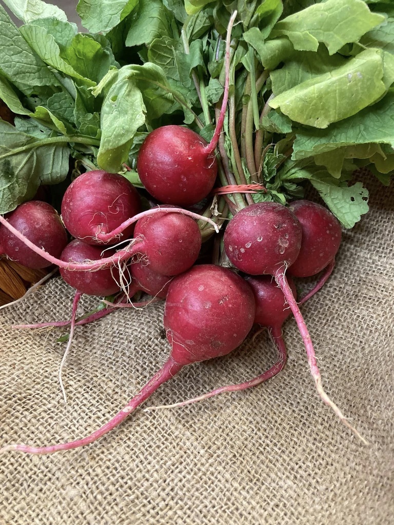 Radishes BOGO