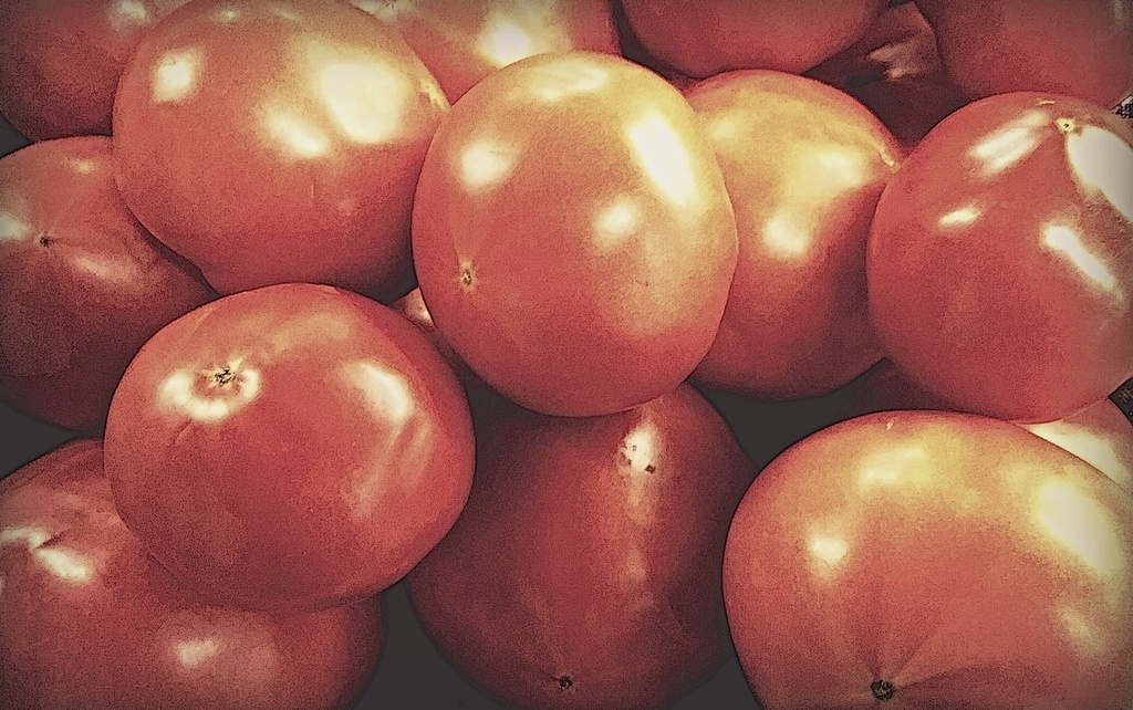 Canning Tomatoes 25lb box