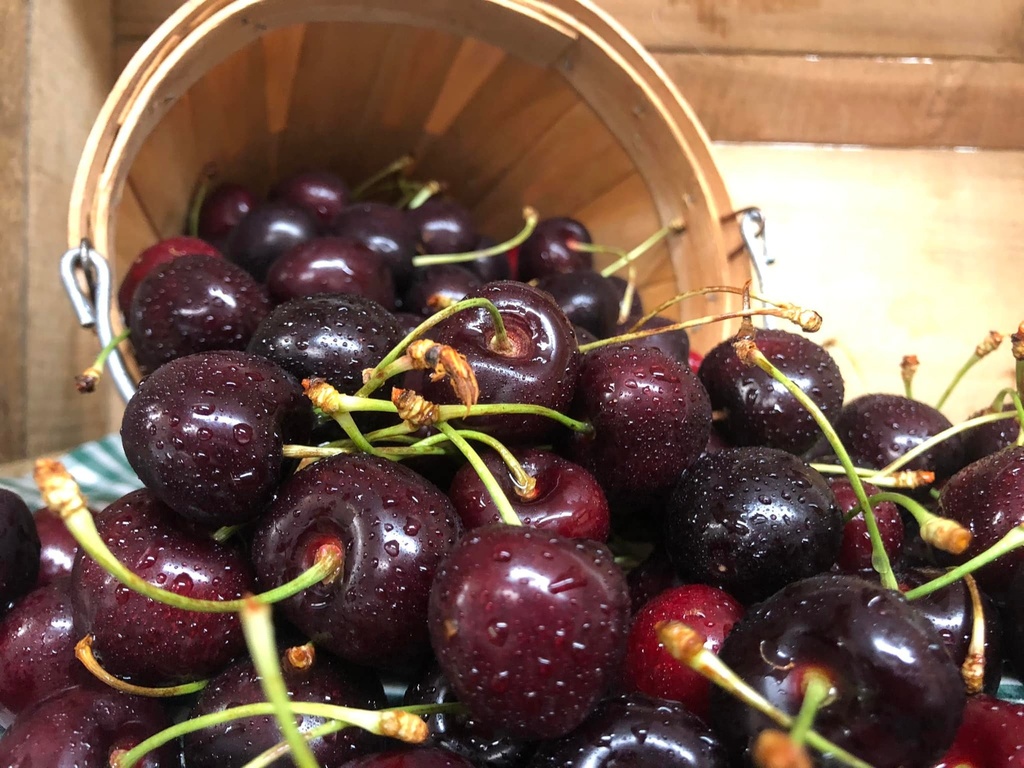 Fresh Cherries 