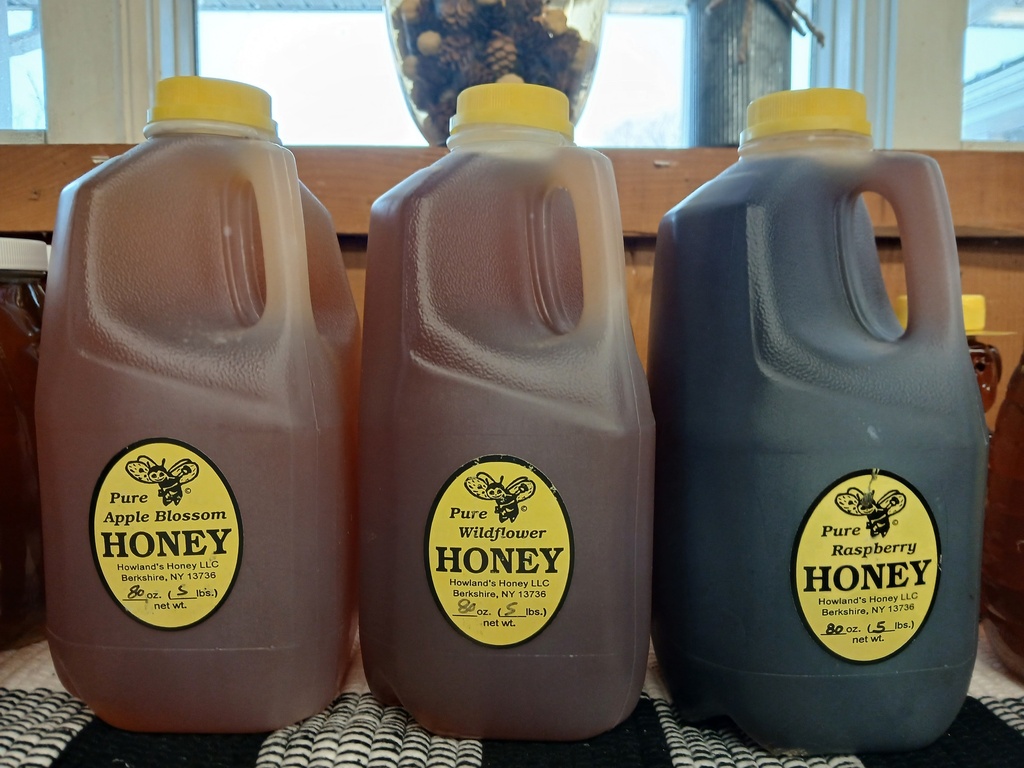 5lb Local Honey