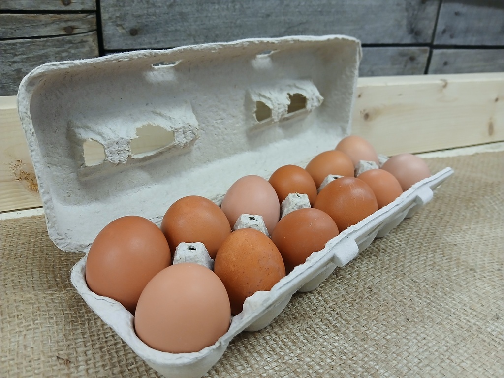 1 Dozen Pastured Eggs Subscription