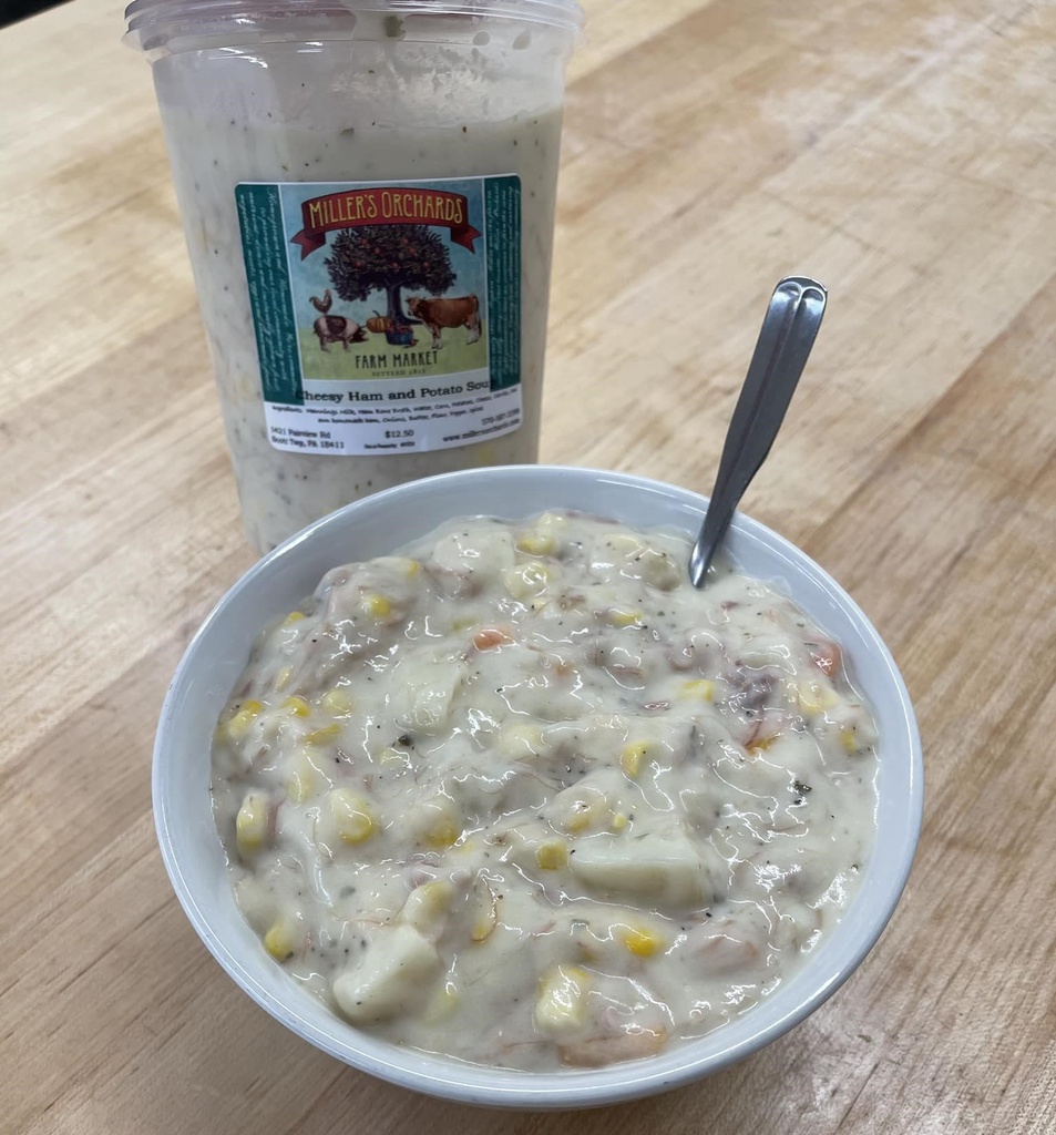 Cheesy Ham & Potato Soup