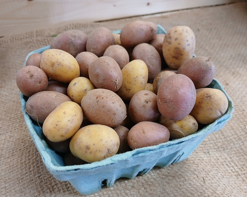 Baby White Potatoes 1 Qt BOGO