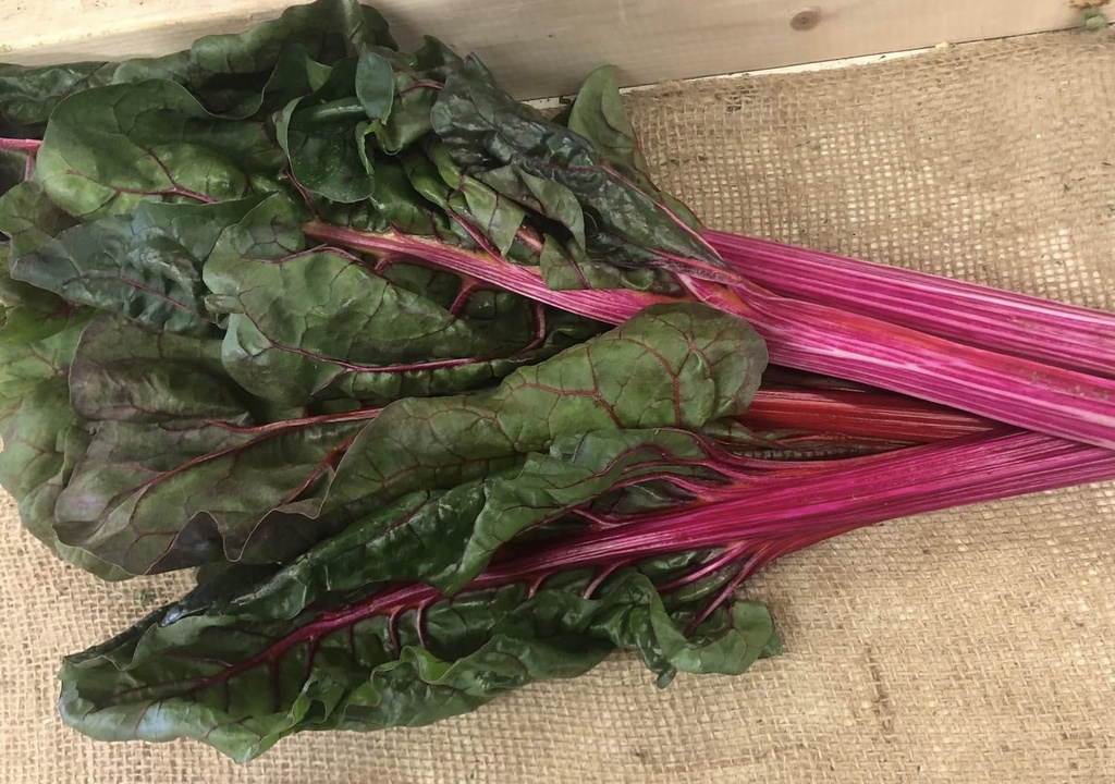 Rainbow Swiss Chard 