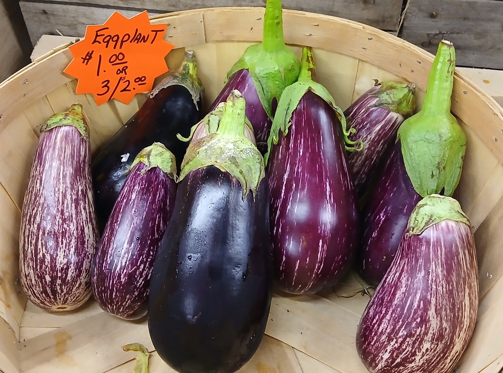 Eggplant