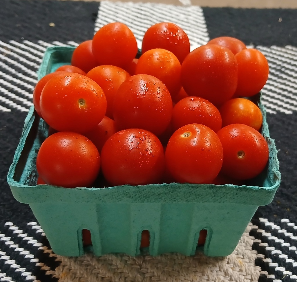 Super Cherry Tomatoes (BOGO)