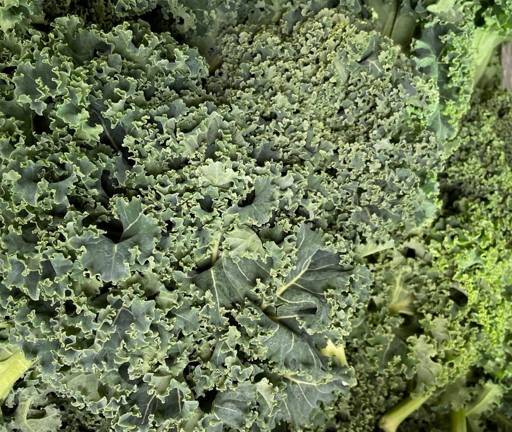Kale 