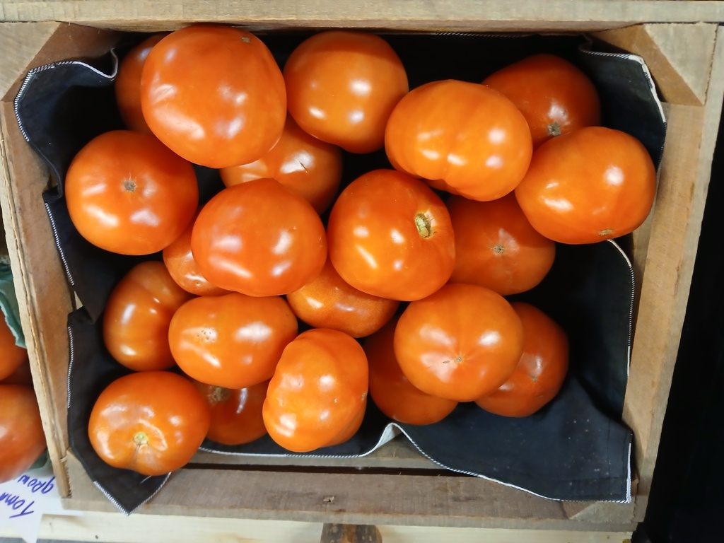 Tomatoes by LB