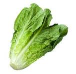 Romaine BOGO