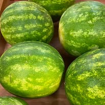 Watermelon (Red, Seeded)