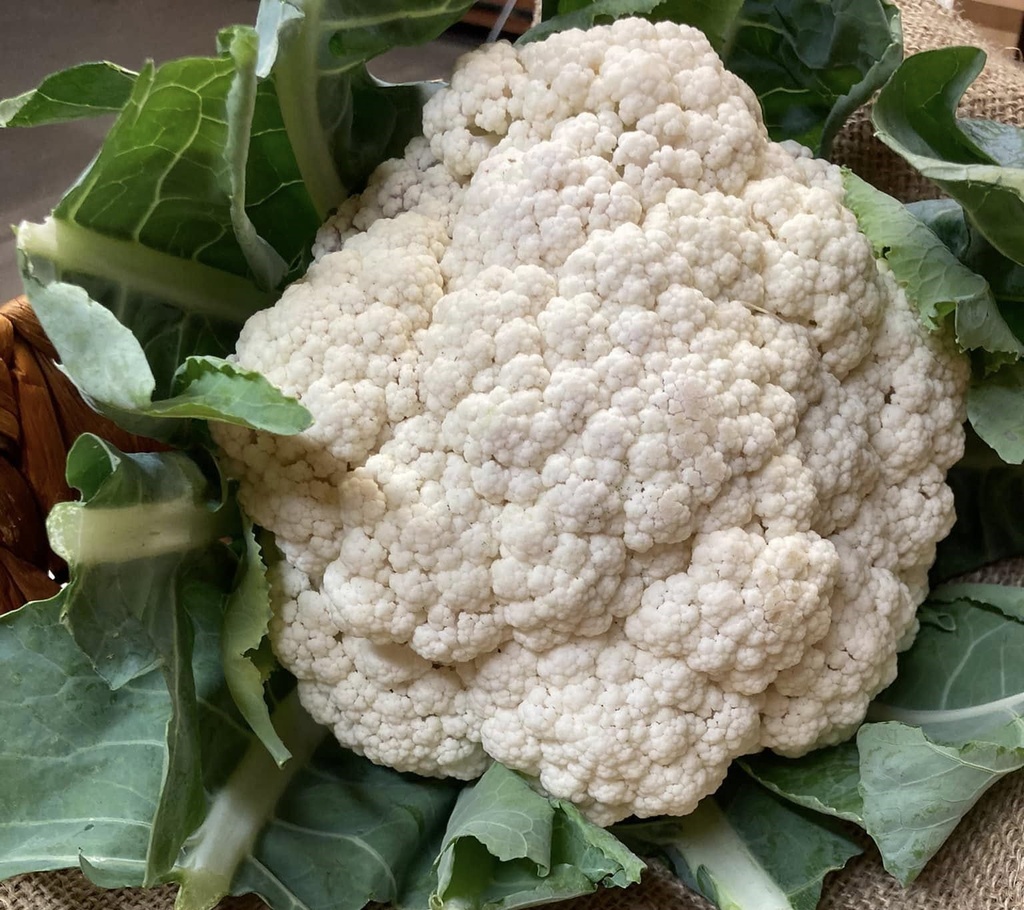 Cauliflower BOGO