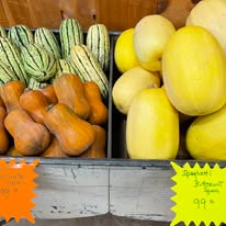 Butternut Squash (med, ea) 