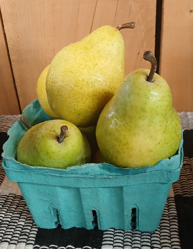 Bartlett Pears (Quart) 