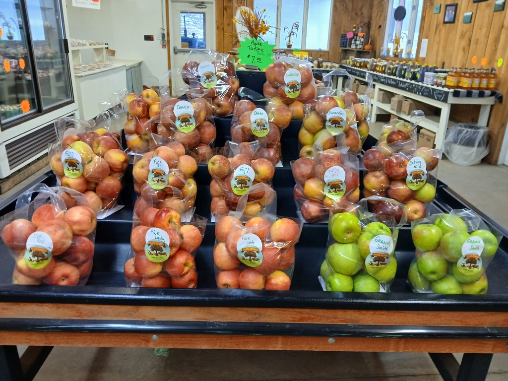 Apple Tote (5lb) Paula Red