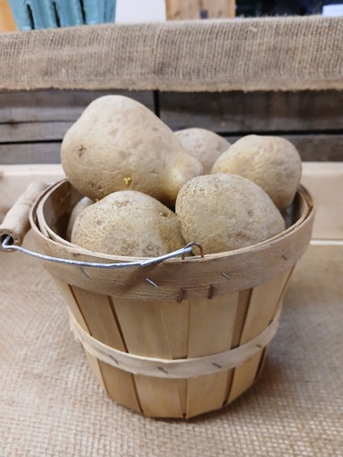 White Potatoes 