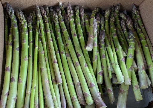 Asparagus