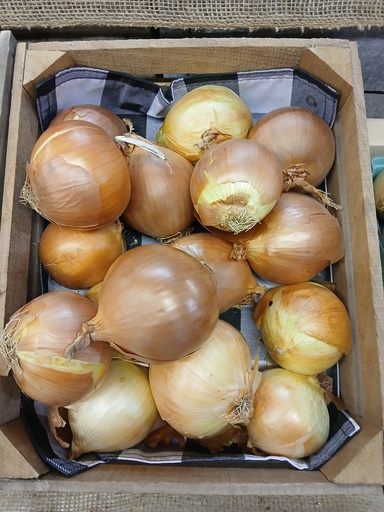 Onions