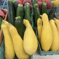 Zucchini / Yellow Squash Basket 