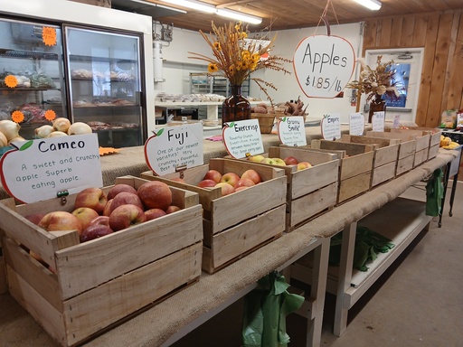 Variety Apples by the LB