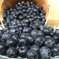 Blueberries 