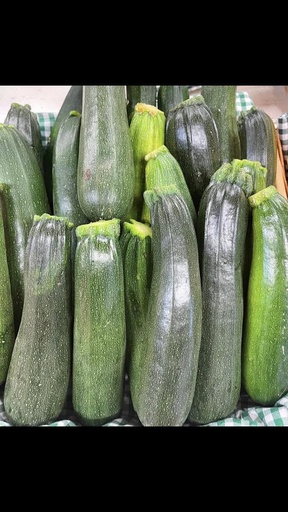 Zucchini