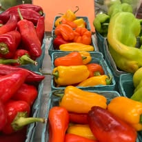 Snacking Peppers