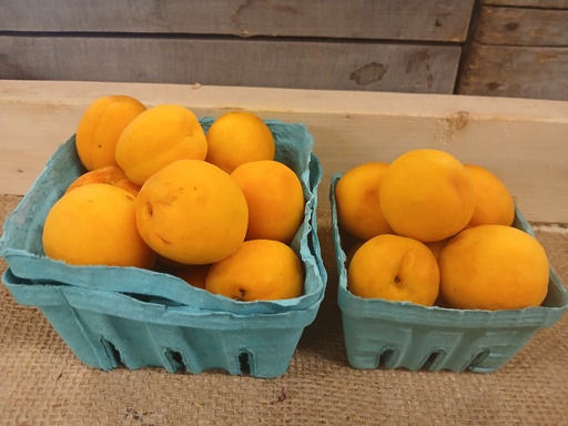 Fresh Apricots 
