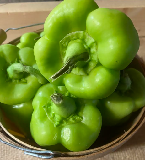 Cubanelle Mild Peppers (quart)
