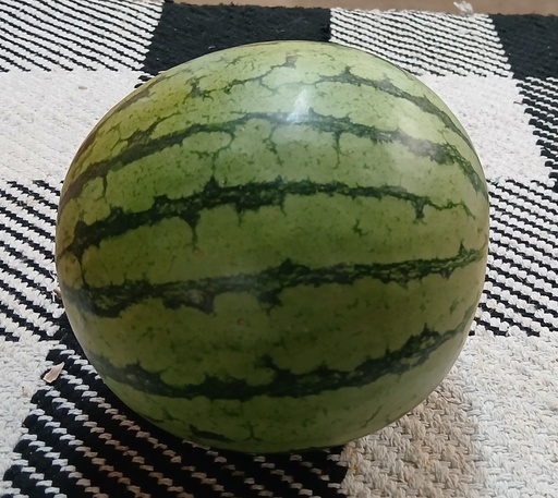 Watermelon *(Yellow)