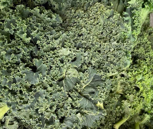 Kale BOGO