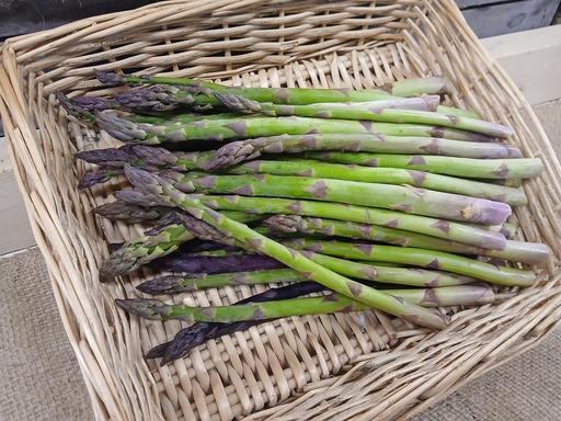 Asparagus 