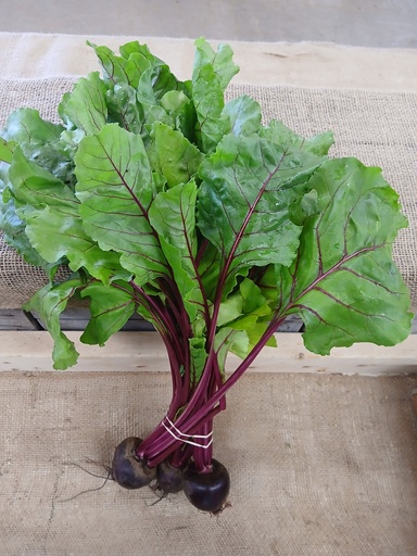 Beets (bunch with tops) 