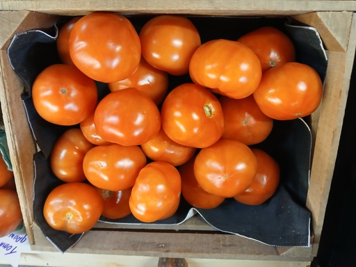 Roma Tomatoes (Quart)