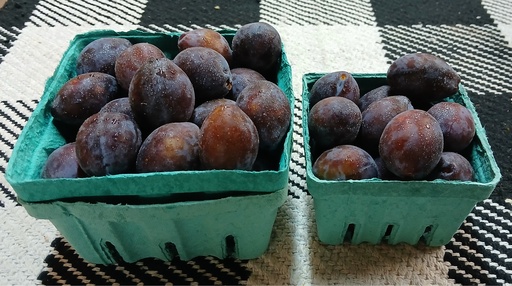 Prune Plums